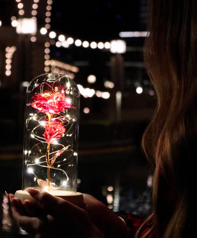 CelestialBloom™ Rose Display