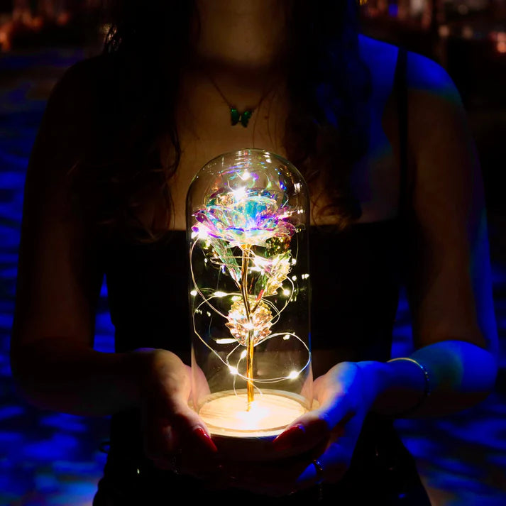 CelestialBloom™ Rose Display